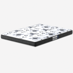 CE ADVANCED D20 LISO 12cm X 2,03m X 1,93m LPR CA1