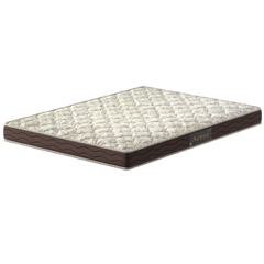 CE ACTIVE D23 17cm X2,03m X1,93m CAW