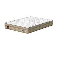 CM MAXIMUS PLUS - EP 26cm X 1,88m X 1,38m CFR