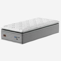 CM VAN GOGH PLUS - SP 40cm X 2,00m X 1,00m CT6