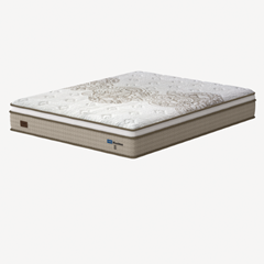 CM MAXIMUS PLUS - EP 30cm X 2,03m X 1,93m CAA