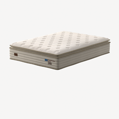 CM GC ROBUSTE - SP 34cm X 1,88m X 1,28m CEV
