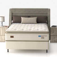 CM GC ROBUSTE - SP 34cm X 1,88m X 1,38m CEV