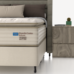 CM GC ROBUSTE - SP 34cm X 1,88m X 1,38m CEV