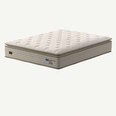 CM GC ROBUSTE - SP 34cm X 1,98m X 1,58m LBC CEV
