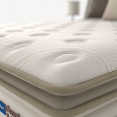 CM GC ROBUSTE - SP 34cm X 2,03m X 1,93m CEV