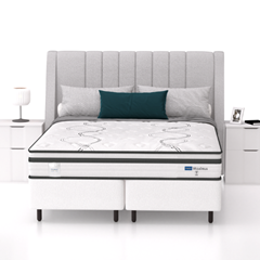 CM MAXIMUS PLUS - EP 26cm X 2,03m X 1,93m CBO