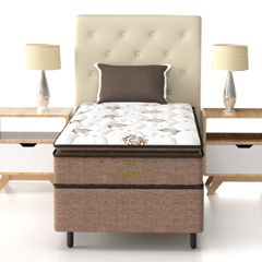 CE ADVANCED EXTRA FIRME - TP 30cmX1,88mX88cm CN4