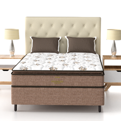 CE ADVANCED EXTRA FIRME - TP 30cmX1,88mX1,28m CN4