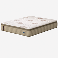 CM CHARLOTTE - SP 32cm X 1,98m X 1,58m CM4