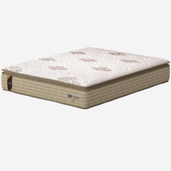 CM CHARLOTTE - SP 32cm X 2,03m X 1,93m CM4