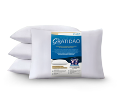 TRAVESSEIRO GRATIDAO 14cmx60cmx40cm CAM